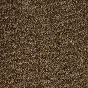 Zoom 1 75559