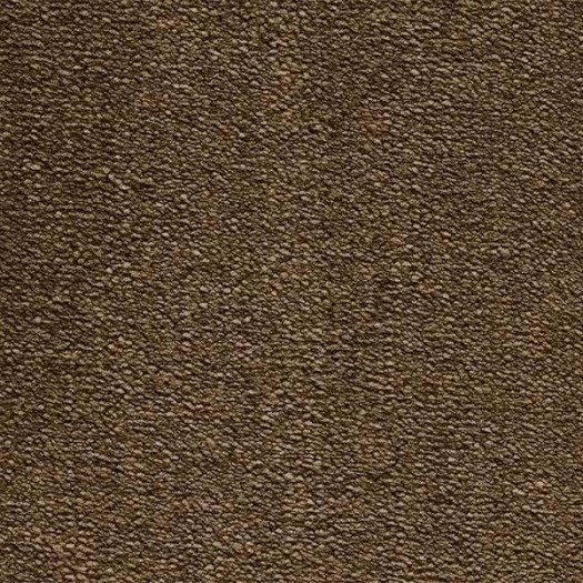 Zoom 1 75559