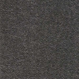 Zoom 1 75565