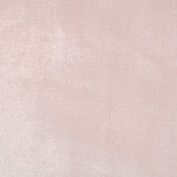 Zoom 2 78641