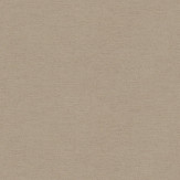 Zoom 1 78810