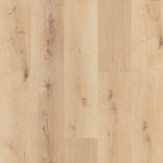 Zoom 1 79270