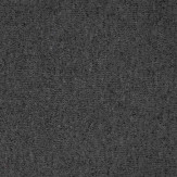 Zoom 1 79312