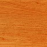 Zoom 1 79402