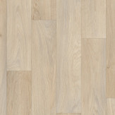 Zoom 1 79504