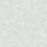 Zoom 1 79579