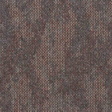 Zoom 1 80464