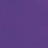 Zoom 1 81326