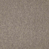 Zoom 1 81379