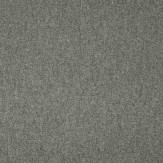 Zoom 1 81381