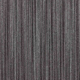 Zoom 1 81421