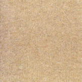 Zoom 1 81446