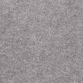Zoom 1 81450