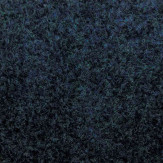 Zoom 1 81454
