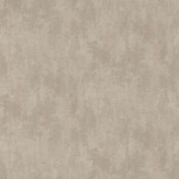 Zoom 2 81538
