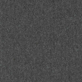 Zoom 1 81639