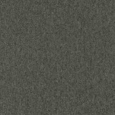 Zoom 1 81651