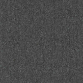 Zoom 1 81652