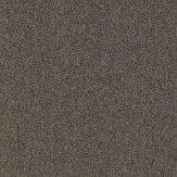 Zoom 1 81653