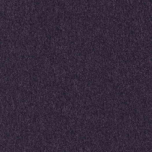 Zoom 1 81659