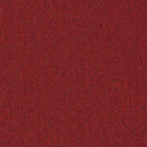 Zoom 1 81661