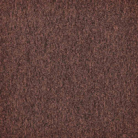 Zoom 1 81663