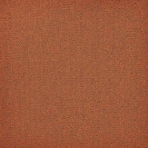 Zoom 1 81666