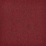 Zoom 1 81667