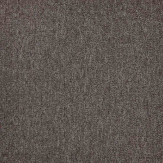 Zoom 1 81676