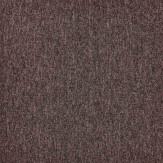 Zoom 1 81678