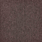 Zoom 1 81692