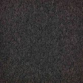 Zoom 1 81712