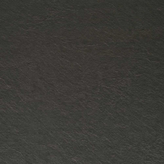 Zoom 2 82435