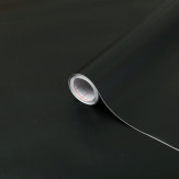 Zoom 2 82491
