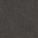 Zoom 1 82981