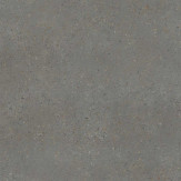 Zoom 1 82983