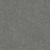 Zoom 1 82985