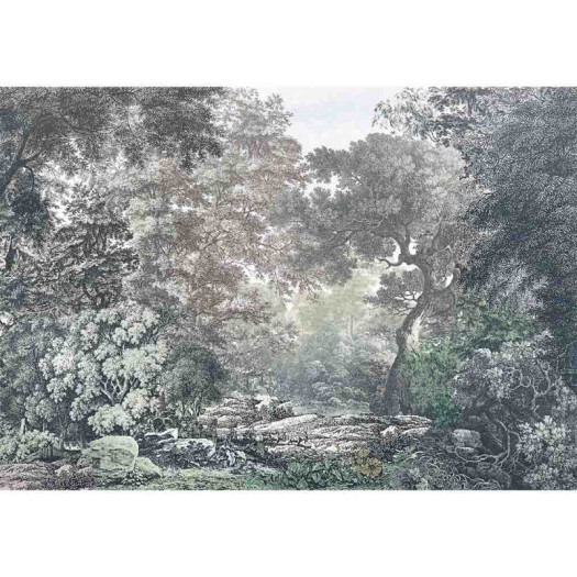 Détourée 1 84962
