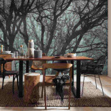 Ambiance 1 86055