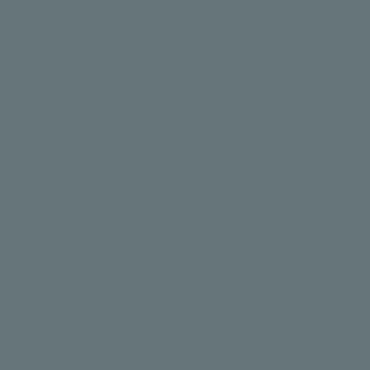 Zoom 1 86281