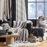 Ambiance 2 81565