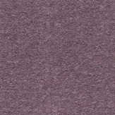 Zoom 1 75563