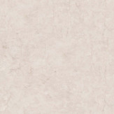 Zoom 1 83431