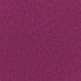 Moquette aiguilletée Petunia 2 mètres