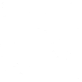 Zoom 1 56376