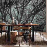 Ambiance 1 86055