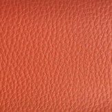 Zoom 1 74450