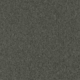 Zoom 1 81651