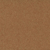 Zoom 1 81662