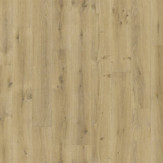 Zoom 1 87522